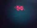 videos de mbs-100 by sony ericcson.