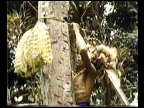 kebudayaan masyarakat suku dayak nama alat musik melayu