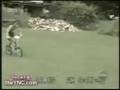 People Getting Hurt-Funny But Painful