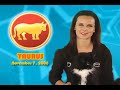 Taurus Horoscope November 7, 2008