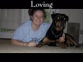 Tribute for my heartdog, Baxter