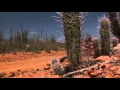 Просмотр видео