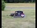 videos de Crazy Turkey Runs Laps in Cemetery