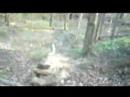 Trail Riding Stories: Jumps I\