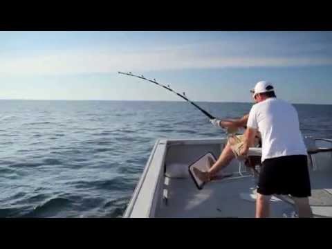 BIG GAME FISHING - Giant Bluefin Tuna Fishing with Dawn Treader Tuna Charters - Experience the World's best Giant Bluefin Tuna Fishing! Minutes from Nova Scotia's Cabot Trail, ...