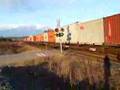 CP 9107 + CP 5997 CP 220-27