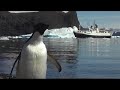 Antarctica 2 FF