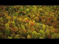 Hectix – radius