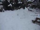 Snow Day