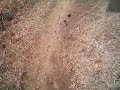 YouTubeサムネイル[275TfXhe1ec] - 1枚目