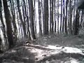 YouTubeサムネイル[275TfXhe1ec] - 3枚目