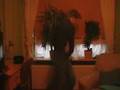 Ceasars Palace - Jerk it out