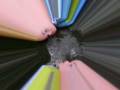 videos de TOSSCA