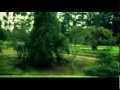 Golpe a Golpe Estar Enamorado Video Oficial
