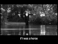 Le Cheval 2.1