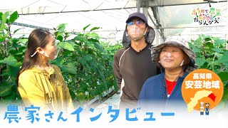 農家さんインタビュー(安芸地域)