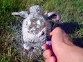 Furby