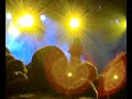 echo & the bunnymen walk on the wildside