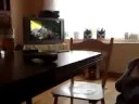 Test Test