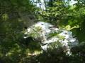 F101-B VooDoo Plane Crash Site Bald Mountain Ellsworth, ME