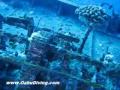 San Pedro Shipwreck in Hawaii- Oahu Diving