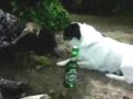I Lara bi tuborg