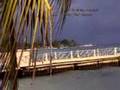 Jamaica-Song-of-Jama