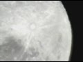 Actividad parsitaria sobre el disco Lunar /glaucoart