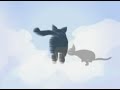 MAX ANIMACIONES 3