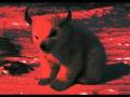 Polar DOOM