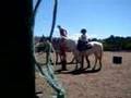 Kiwi Valley Farm, Henderson, New Zealand