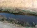 Imperial Valley Chat: Drainage Canal.
