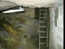 Extreme grow room cannabis