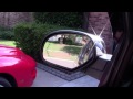 Click here to watch this video FLEX!!! badass dubstep bass