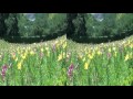 可睡ゆりの園(yt3d)Kasui Lily garden, …