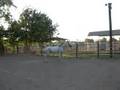 ~*My Horses*~