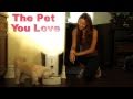 Pet Feedster USA the Worlds Finest Automatic Pet Feeder on the Market