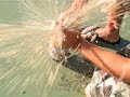Mentos & Diet Coke in the face Hawaii Diet