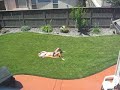 Sunbathing Sunbathing