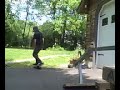 rail tricks rail tricks