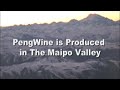 PengWine Travel to Chile