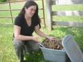 worm composting