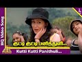 Download Kutti Kutti Pani Thuliye Video Song Manadhai Thirudivittai Songs Kausalya Yuvan Mp3 Song