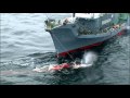 Whale-Wars-Raw-Whale