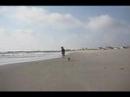 A Day at the Beach