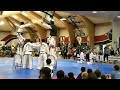 2007 North Korean TKD Demo - Breaking (5)