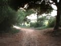 Veja aqui um vídeo (EN) que representa o que poderá ser o ser o ser dia na nossa companhia