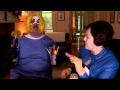 Card-Based Controls - Superhero Transmedia Comedy