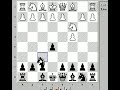Chess Lesson: Basic Opening Principles