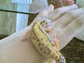 leopard gecko color change